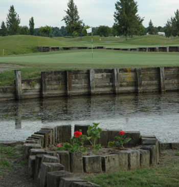 Bartley Cavanaugh — the island 17th green